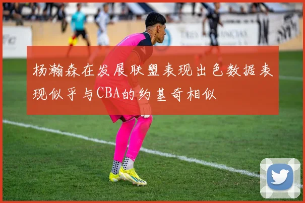 杨瀚森在发展联盟表现出色数据表现似乎与CBA的约基奇相似